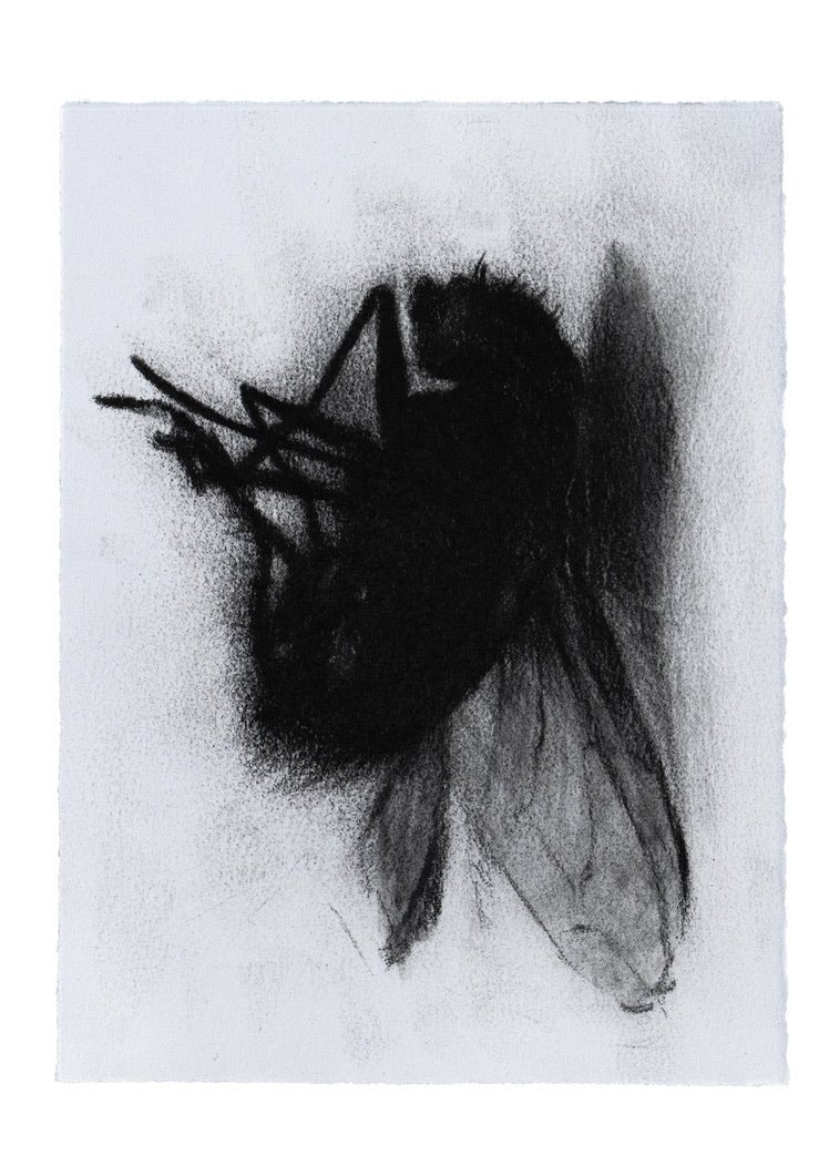 Creature 1 | Original Drawing - Mad Charcoal