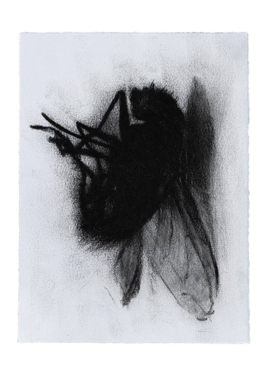 Creature 1 | Original Drawing - Mad Charcoal