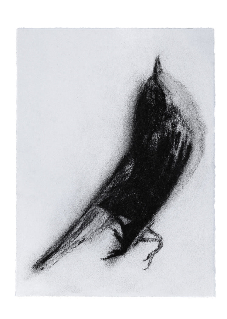 Creature 2 | Original Drawing - Mad Charcoal