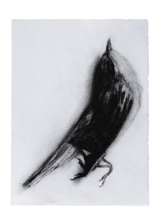 Creature 2 | Original Drawing - Mad Charcoal