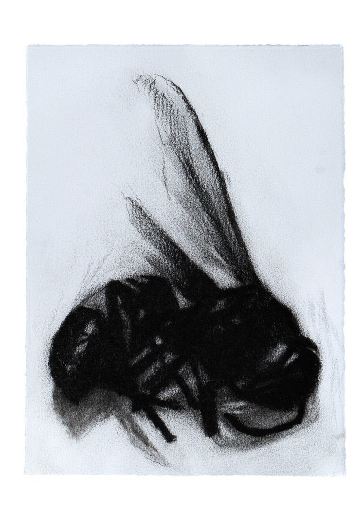 Creature 3 | Original Drawing - Mad Charcoal