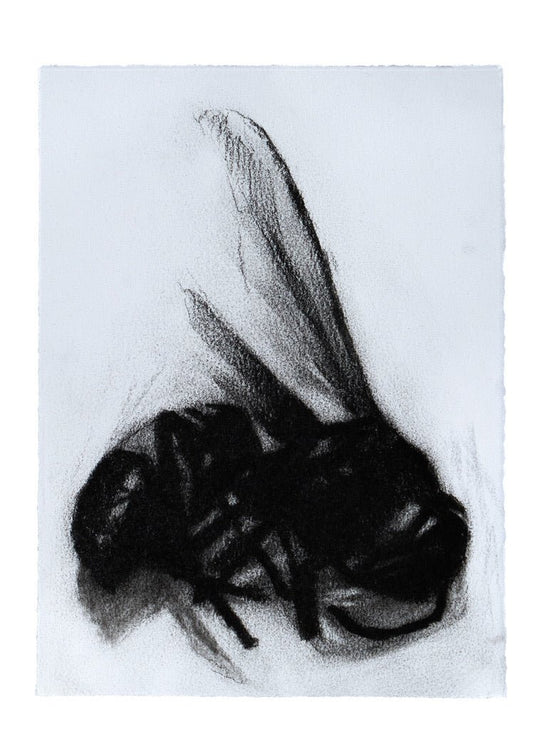 Creature 3 | Original Drawing - Mad Charcoal