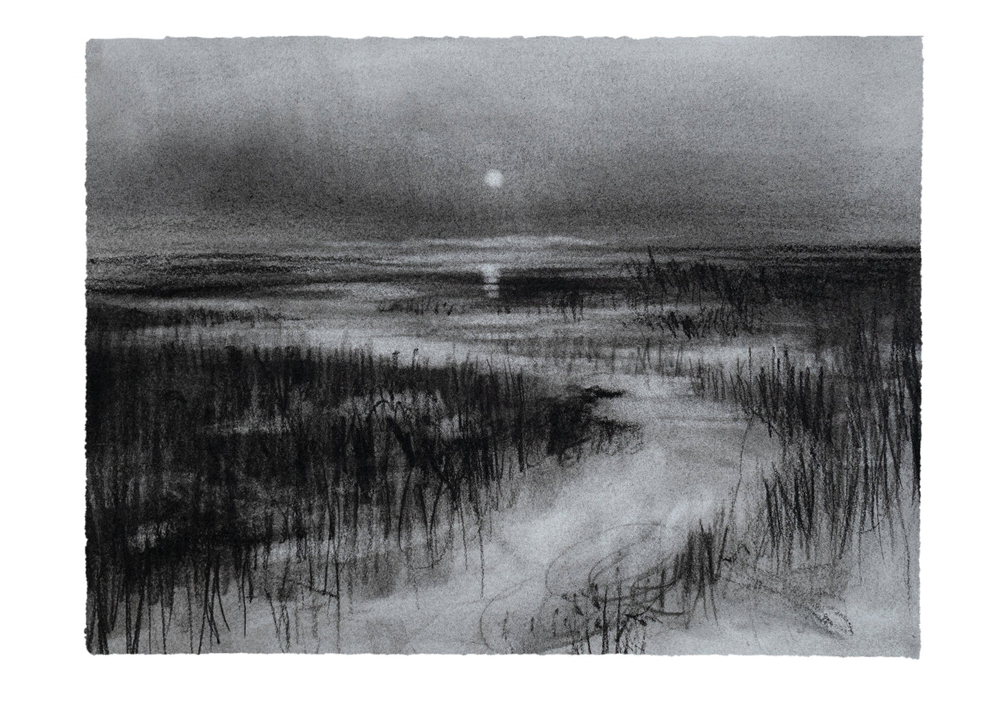 Fractured Silence | Original Drawing - Mad Charcoal