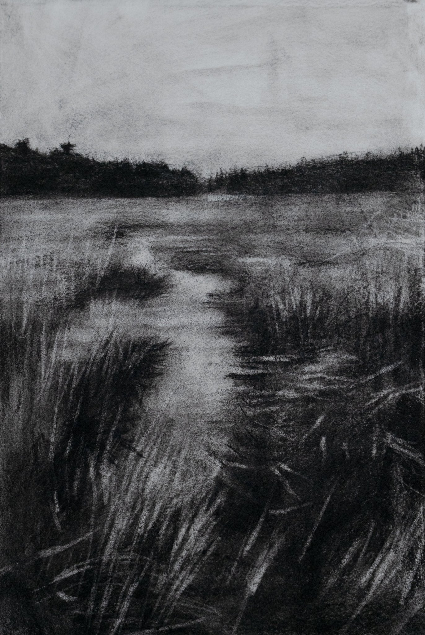 Noir Field | Original Drawing - Mad Charcoal