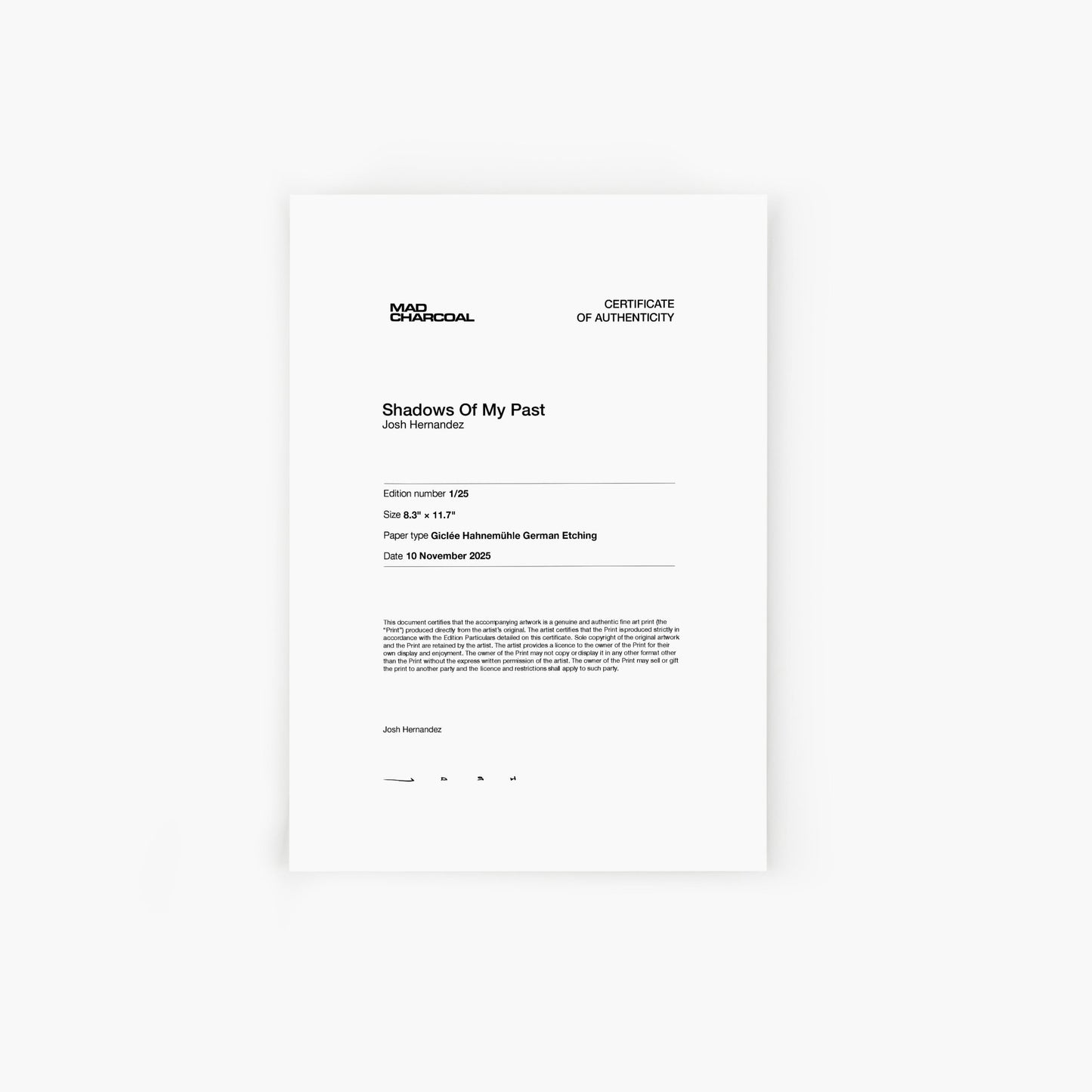 Shadows Of My Past - Mad Charcoal