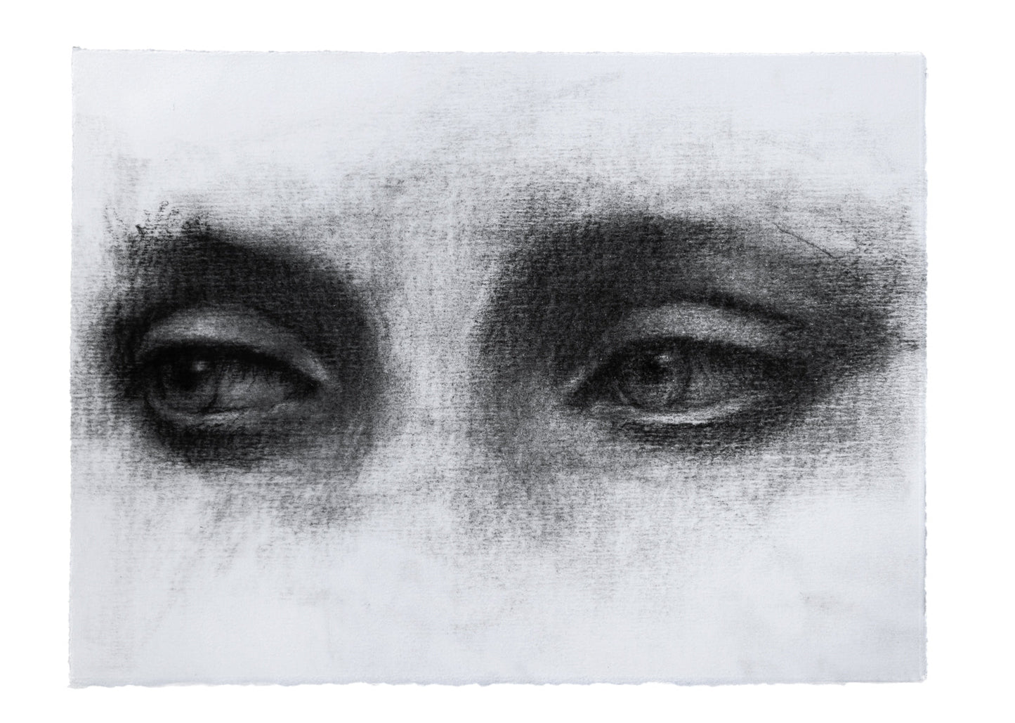 Synopsis | Original Drawing - Mad Charcoal