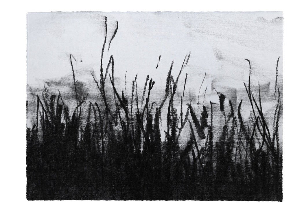 Abstractions Of A World Apart | Original Drawings - Mad Charcoal