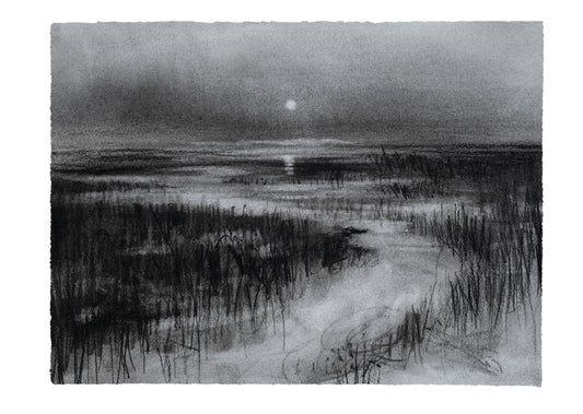 Fractured Silence | Original Drawing - Mad Charcoal