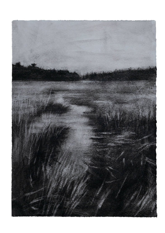 Noir Field | Original Drawing - Mad Charcoal