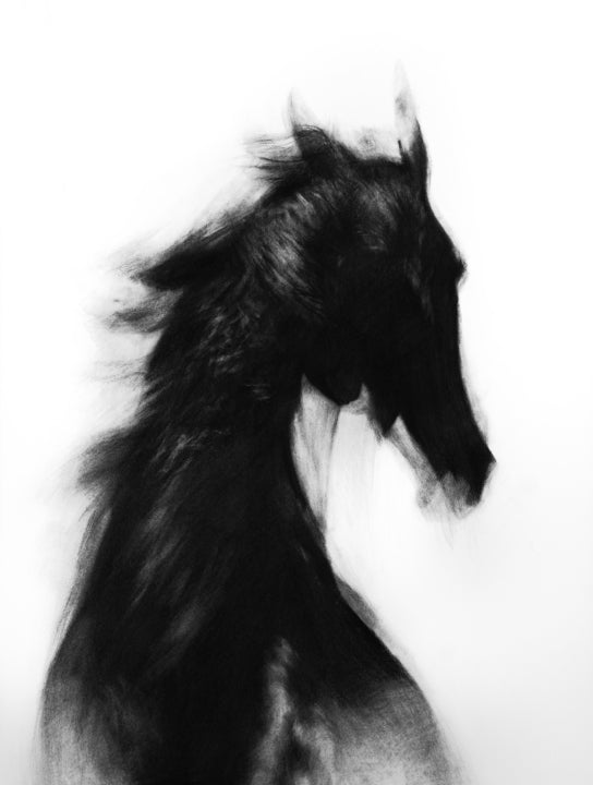 Quiet Echoes | Original Drawing - Mad Charcoal