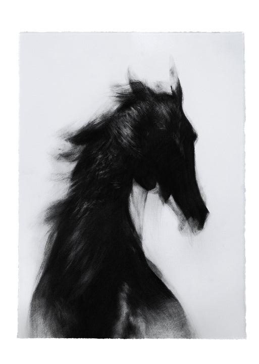 Quiet Echoes | Original Drawing - Mad Charcoal