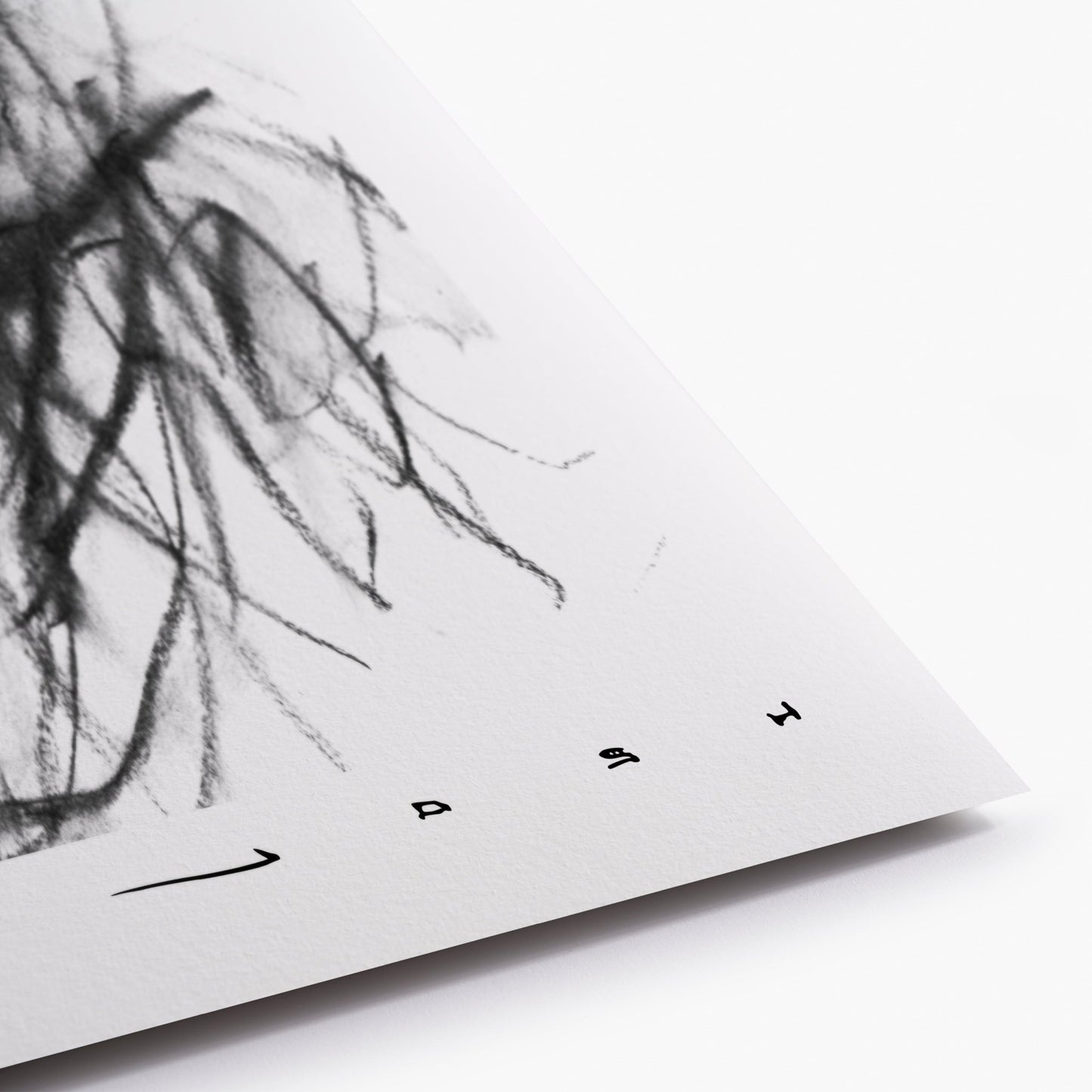 Shadows Of My Past - Mad Charcoal