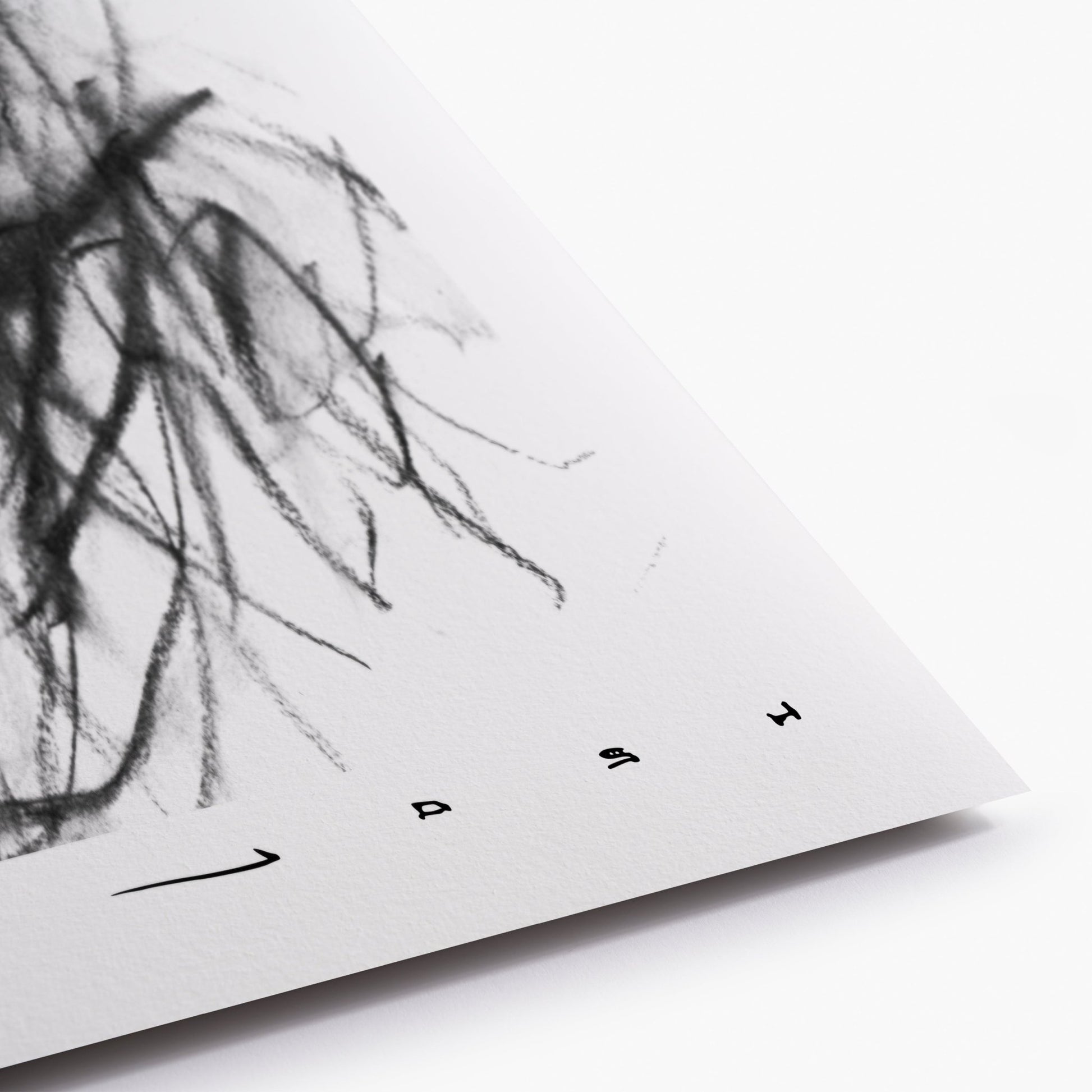 Shadows Of My Past - Mad Charcoal