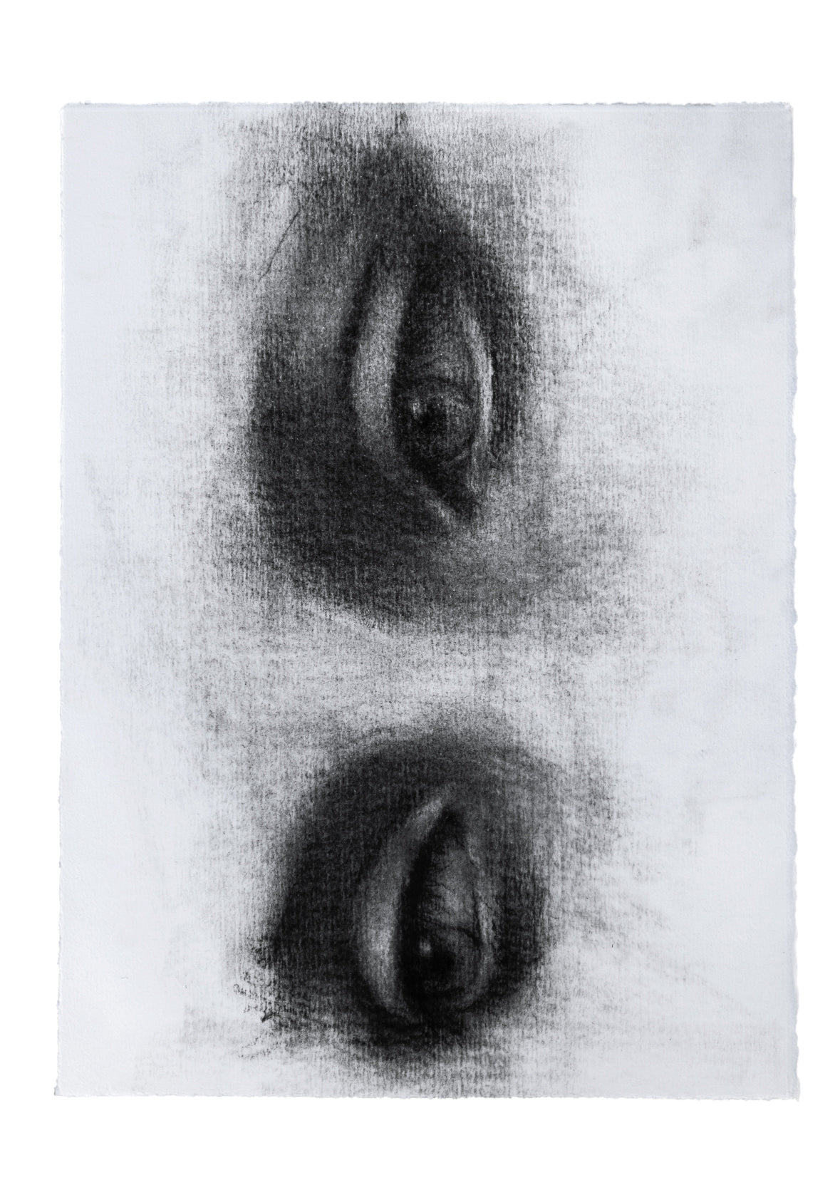 Synopsis | Original Drawing - Mad Charcoal