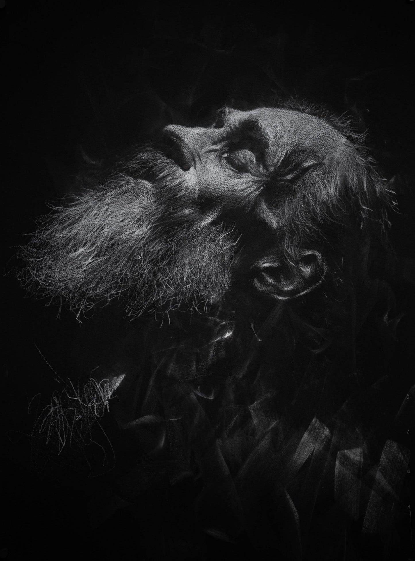 The Regeneration of a Long Lost Soul | Original Drawing - Mad Charcoal