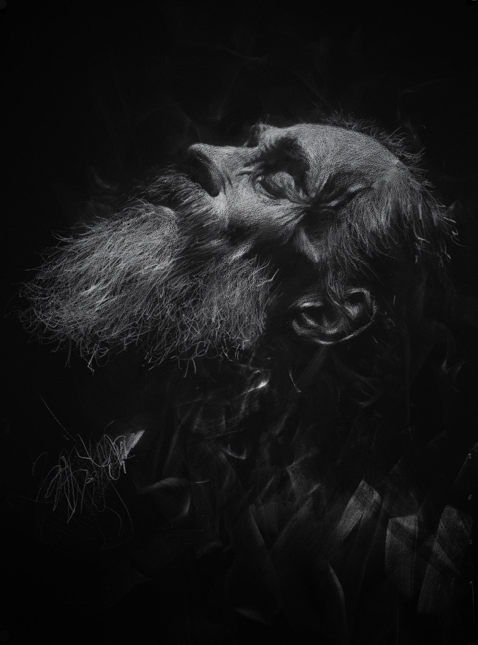 The Regeneration of a Long Lost Soul | Original Drawing - Mad Charcoal