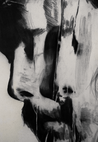 The Revelation of Christ | Original Charcoal on Canvas - Mad Charcoal