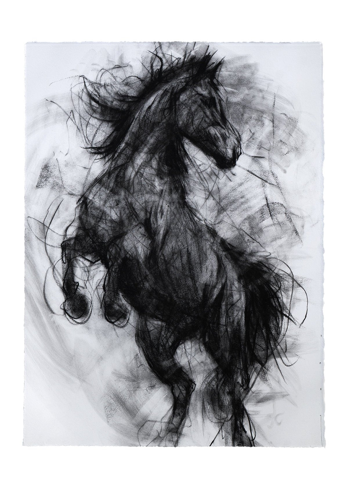 The Weight Of Wind | Original Drawing - Mad Charcoal
