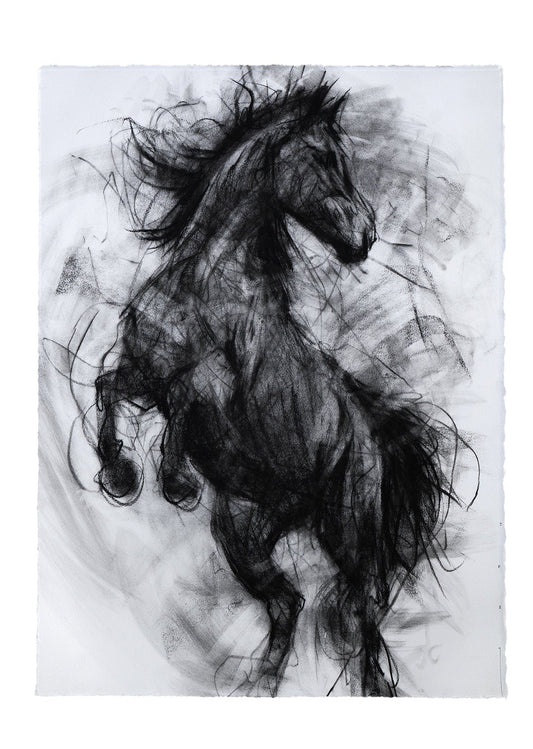 The Weight Of Wind | Original Drawing - Mad Charcoal