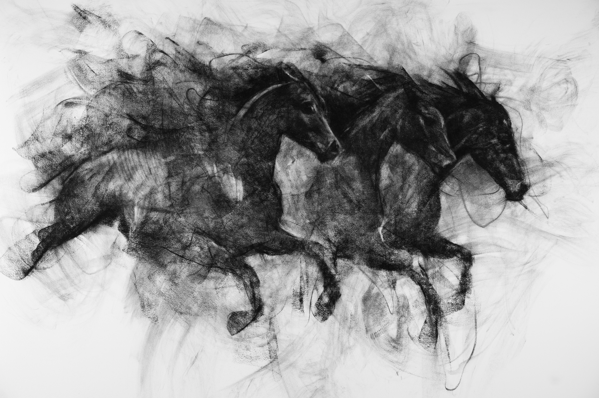 Western Portrait | Postcard Set - Mad Charcoal