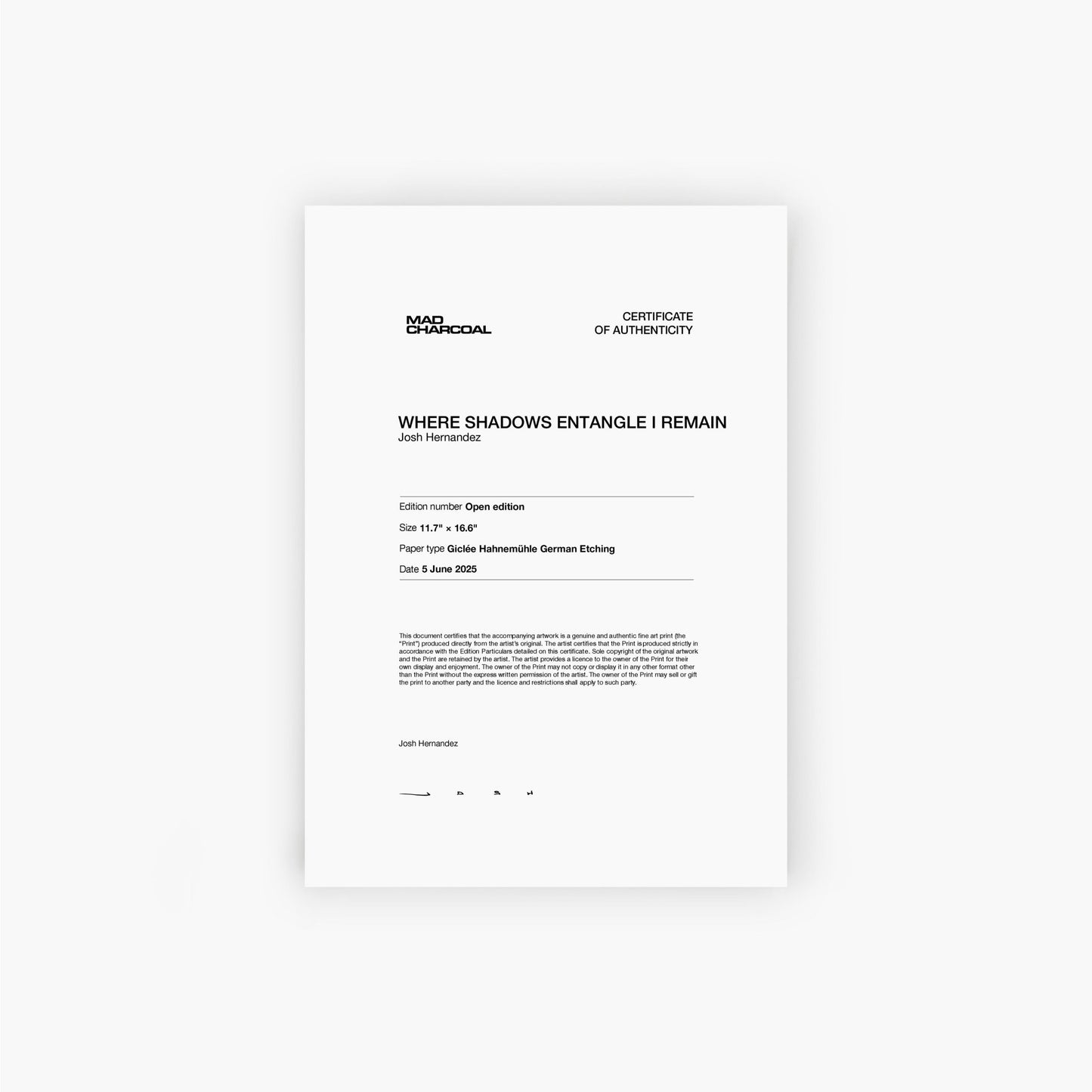 Where Shadows Entangle I Remain - Mad Charcoal